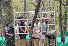 ब्रह्मपुरी-चंद्रपूरच्या दोन वाघिणी वाढविणार नवेगाव-नागझिऱ्याची शान