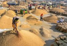 आता १५ मे पर्यंत करा धान खरेदीसाठी आॅनलाईन नोंदणी