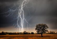 तुम्हाला आधीच कळणार वीज कुठे पडणार ! ‘दामिनी’ ॲप करणार अलर्ट