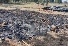 छत्तीसगडमधील जाळपोळीची धग पोहोचली गडचिरोलीत