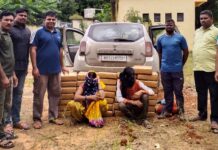 पोलिसांनी पकडला १५ लाखांचा गांजा, छत्तीसगडमधून आणताना कारवाई