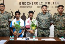 दोन जहाल छत्तीसगडी नक्षलवाद्यांचे गडचिरोली पोलिसांपुढे आत्मसमर्पण