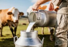 दुग्धजन्य पदार्थांच्या भेसळखोरीवर आता अप्पर जिल्हाधिकाऱ्यांच्या समितीची नजर