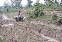 हे चिखलणी केलेले शेत नव्हे, हा तर गावात जाणारा रस्ता