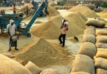 आदिवासी विकास महामंडळाचे प्रादेशिक व्यवस्थापक कोटलावार निलंबित