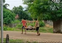 छत्तीसगडमधील रुग्णाला खाटेची कावड करून आणले गडचिरोली जिल्ह्यात