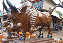 ४० हजारांचा लाकडी नंदीबैल आणि बिग बूल झाले गडचिरोलीकरांचे आकर्षण