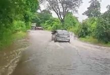 गोसेखुर्दच्या विसर्गाचा गडचिरोली जिल्ह्याला फटका, सात मार्ग वाहतुकीसाठी बंद