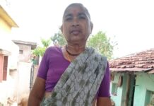 आरमोरीजवळ वाघाने हल्ला करत घेतला शेतात काम करणाऱ्या महिलेचा बळी