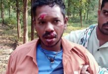 आलापल्ली ते एटापल्ली मार्गावरील अपघातांसाठी ‘हे’ ठरत आहे कारण