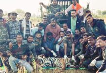 चार दिवसांपूर्वी महिलेचा बळी घेणारी हल्लेखोर वाघिण अखेर जेरबंद़