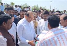 महसूलमंत्री विखे पाटलांनी शेताच्या बांधावर जाऊन केली पीक पाहणी