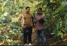 जंगलात सरपण आणण्यासाठी गेलेली महिला हिंस्र श्वापदाच्या हल्ल्यात ठार