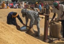 हमीभावाने तुमचे धान विकायचे ना, मग लवकर नोंदणी करा भाऊ