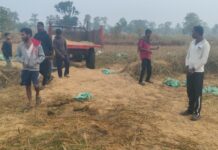 डार्ली परिसरात रानटी हत्तींचा धुडगूस, ट्रॅक्टरमध्ये भरलेले धान केले फस्त