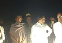 गडचिरोली तालुक्यात आणखी एका महिलेसह पुरूष शेतकऱ्याचा वाघाने घेतला बळी