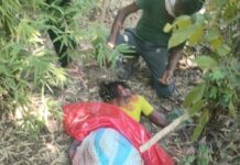 गोविंदपूरजवळ वाघाच्या हल्ल्यात महिलेचा मृत्यू, इतर महिला बचावल्या