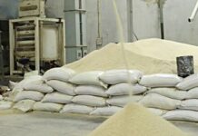 जिल्ह्यातील ४१ राईस मिल मालक भरणार का २.६७ कोटींचा दंड?