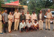 छत्तीसगडमधून येऊन गडचिरोलीच्या जंगलात केली रानडुकराची शिकार