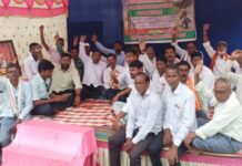 १२ तास वीज पुरवठा देऊन आमच्या पिकांना वाचवा हो, शेतकऱ्यांचा टाहो