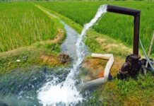 …म्हणून गडचिरोली जिल्ह्यातील शेतकऱ्यांना दिवसा 12 ऐवजी 8 तास वीजपुरवठा