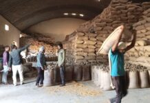 धान खरेदी केंद्रांवर शेतकऱ्यांची लूट? चौकशी करून गुन्हे दाखल करा