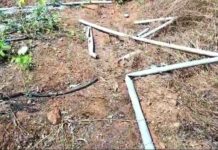 रानटी हत्तींची वक्रदृष्टी आता रबीच्या पिकांवर, उसेगावच्या जंगलात मांडले ठाण