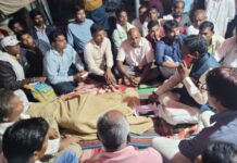 विजेच्या प्रश्नावर खा.अशोक नेते यांची उपमुख्यमंत्री फडणवीस यांच्याशी चर्चा