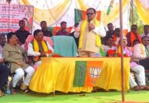 आसरअल्लीत महायुतीची जाहीर सभा, ना.आत्राम, खा.नेते यांची उपस्थिती