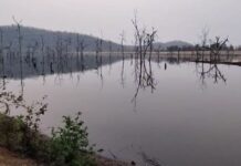 १४ वर्षांपासून रखडलेल्या कोसरी सिंचन प्रकल्पग्रस्तांना ना पाणी, ना प्रमाणपत्र