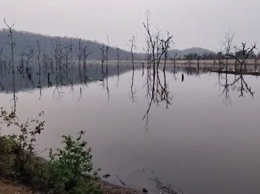 १४ वर्षांपासून रखडलेल्या कोसरी सिंचन प्रकल्पग्रस्तांना ना पाणी, ना प्रमाणपत्र