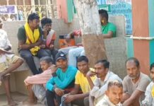 सर्वत्र एकच चर्चा, ‘भाऊ, पंजा की कमळ?’ मतदानानंतर सर्वांनाच लागली उत्सुकता