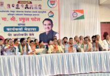 संयुक्त प्रचारसभांमधून महायुतीच्या नेत्यांनी दिला ‘हम साथ-साथ है’चा संदेश