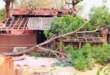 गडचिरोलीच्या दक्षिण भागात वादळाचा तडाफा, छत उडाले, झाडेही पडली