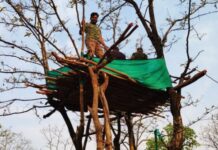 बुद्ध पौर्णिमेला चंद्रप्रकाशात पर्यंटकांनी घेतला मचाणावर बसून प्राणी निरीक्षणाचा आनंद