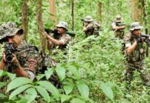 नक्षलवाद्यांचा गड उद्ध्वस्त करण्यासाठी छत्तीसगड पोलिसांना गडचिरोलीची प्रेरणा
