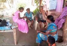 लक्षणे नाहीत, तरीही असू शकतो मलेरिया, अडीच लाख लोकांचे रक्तनमुने घेणार