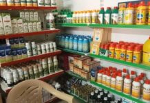 शेतकऱ्यांनो, बियाणे-खते खरेदीला जाताय, मग ही खबरदारी जरूर घ्या