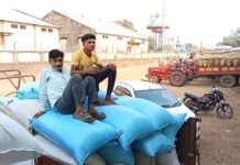 उन्हाळी धानाची कापणी-मळणी जोरात, व्यापारी करताहेत कमी भावात खरेदी