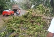वादळी पावसाने उडाले अनेक घरावरील छत, मुख्य मार्गावर झाडेही तुटली