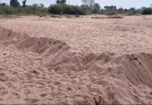 कुरखेडाच्या तहसीलदारांनी दिले सर्व रेतीघाटांचे पंचनामे करण्याचे आदेश