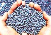 शेतकऱ्यांनो सावधान ! तुम्ही छुप्या मार्गाने येणारे बोगस बियाणे तर घेत नाही ना?