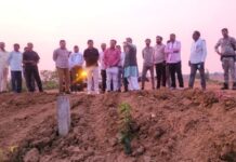 वडसा-गडचिरोली रेल्वे लाईनच्या कामाची खासदार अशोक नेते यांच्याकडून पाहणी
