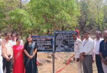 जांगदा ग्रामस्थांच्या एकीतून ग्रामसभेने साकारले राज्यातील पहिले बांबू रोपवन