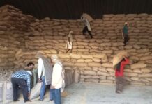 धान खरेदी घोटाळ्यातील आणखी एका आरोपीला अटक, संख्या झाली तीन