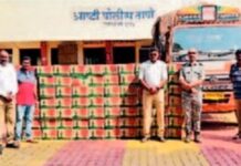 दक्षिण गडचिरोलीत मालवाहू वाहनातून दारूची आयात, 12 लाखांची दारू पकडली