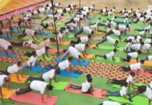 योगाभ्यासात रमला गडचिरोली जिल्हा, जिल्हाभरात केली सामुहिकपणे योगासने