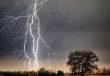 मान्सूनपूर्व वादळी पावसाने घेतला कुनघाडा, तळोधी परिसरात दोघांचा बळी