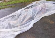 चळवळ सोडून शेतकरी झालेल्या आत्मसमर्पित नक्षलवाद्याची हत्या