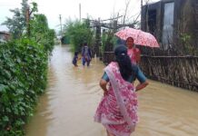 गडचिरोलीच्या संघर्ष नगरातही जमले होते पाणी, आर्थिक मदत देण्यात यावी